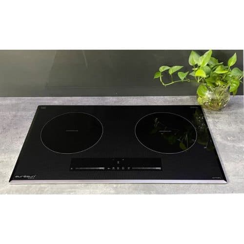 Ảnh thực tế bếp từ 2 vùng nấu Eurosun EU-T710 PRO Silver