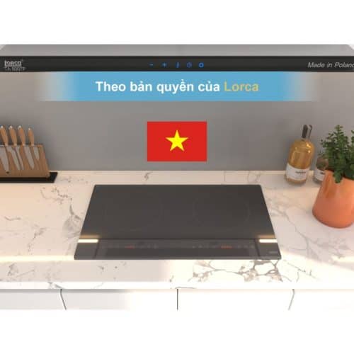 Xuất xứ Bếp từ đôi Lorca TA-1006C Plus
