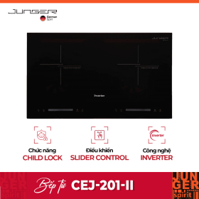 cej 201 ii optimized