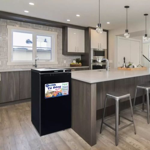 Tủ đông đứng Sanaky VH160K3 Inverter 118 lít 4 hinh anh tu da dung sanaky td vh160k3 inverter